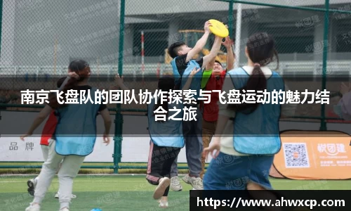 南京飞盘队的团队协作探索与飞盘运动的魅力结合之旅