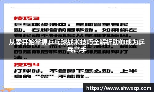 从零开始掌握乒乓球战术技巧全解析助你成为乒乓高手