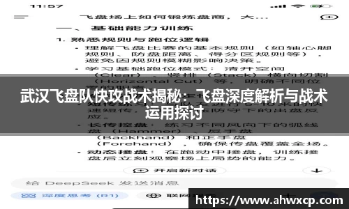 武汉飞盘队快攻战术揭秘：飞盘深度解析与战术运用探讨