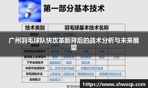 广州羽毛球队快攻革新背后的战术分析与未来展望