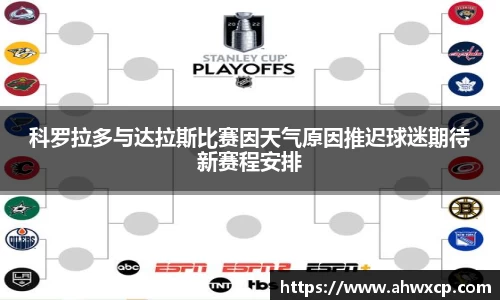 科罗拉多与达拉斯比赛因天气原因推迟球迷期待新赛程安排