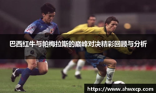 xk体育